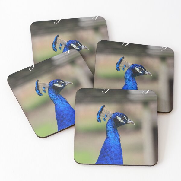 Item preview, Motivate, Motivational Orginality- Blue Peacock designed and sold by Mdillon.