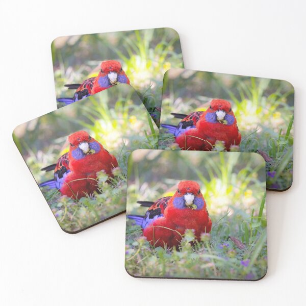 Item preview, Crimson Rosella chomp - bird designed and sold by Tara Smithson.