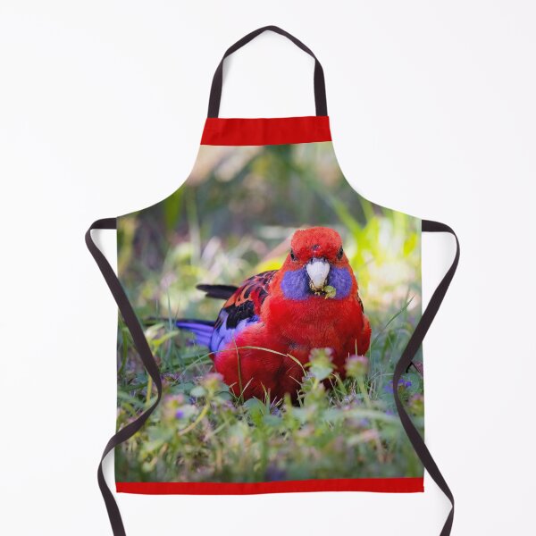 Item preview, Crimson Rosella chomp - bird designed and sold by Tara Smithson.
