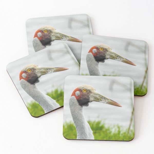 Item preview, Brolga designed and sold by Kathie Thomas.
