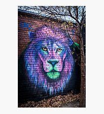 Lion's head. Artwork by Mr 'Silly' Sully Photographic Print