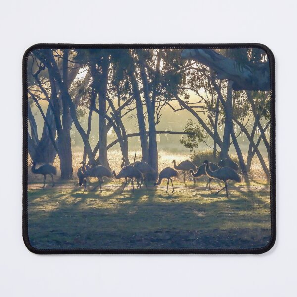 Item preview, Emu Mob at Sunrise designed and sold by Kathie Thomas.