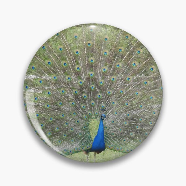 Item preview, Peacock displaying fan-shaped tail feathers designed and sold by TwistedClassics.