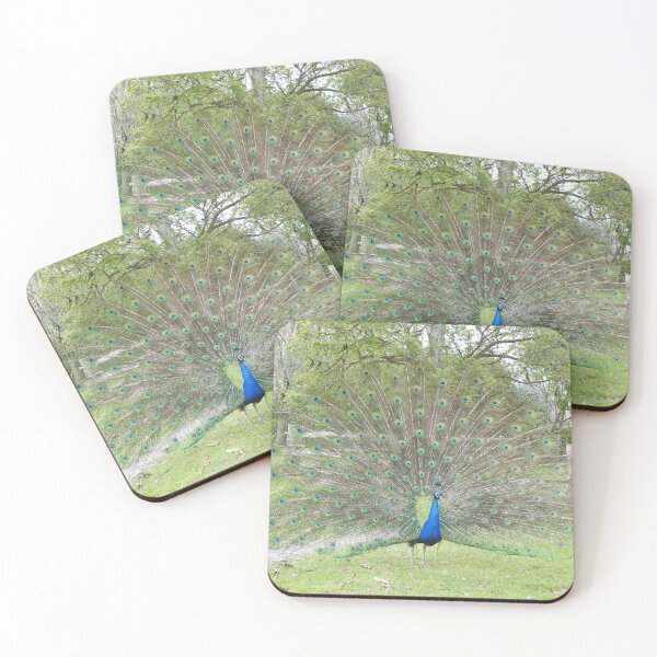 Item preview, Peacock displaying fan-shaped tail feathers designed and sold by TwistedClassics.