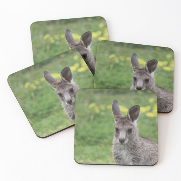 Item preview, Young kangaroo joey designed and sold by Murrindindi Ranges Wildlife Shelter .