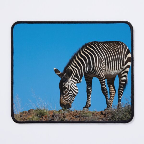 Item preview, Mountain Zebra with blue sky background designed and sold by TwigaTravel.