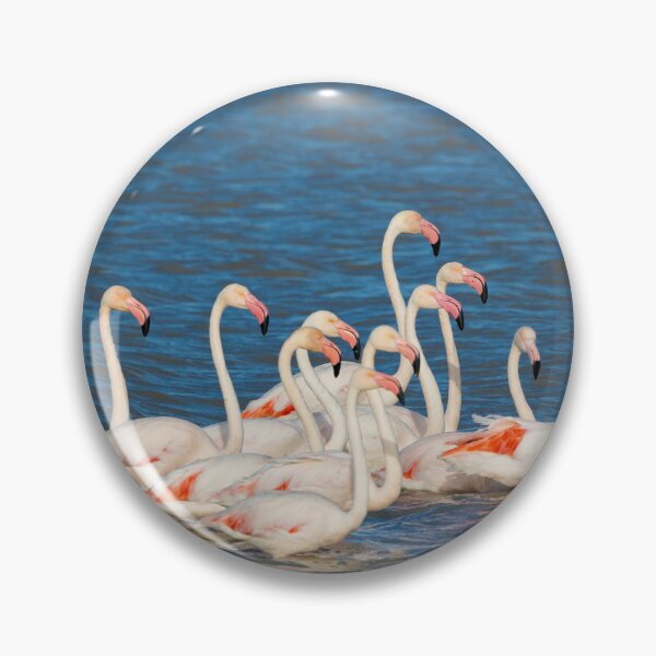 Item preview, Flamboyant Flamingos designed and sold by TwigaTravel.
