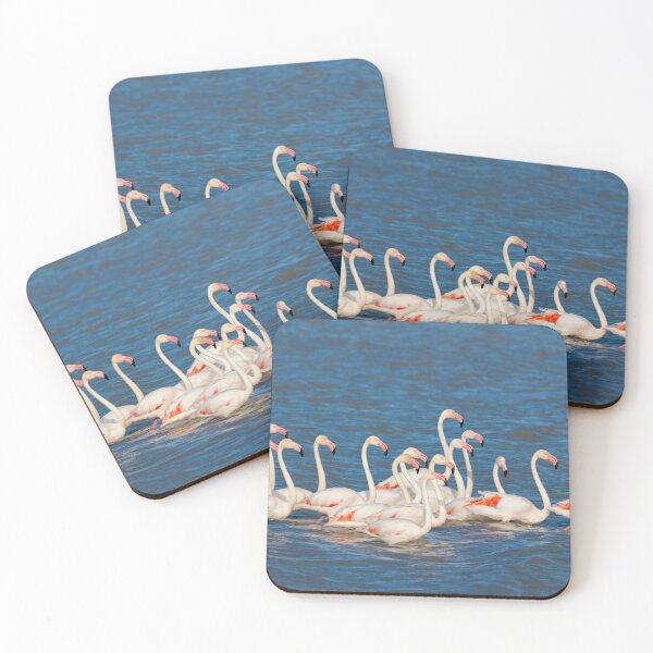 Item preview, Flamboyant Flamingos designed and sold by TwigaTravel.