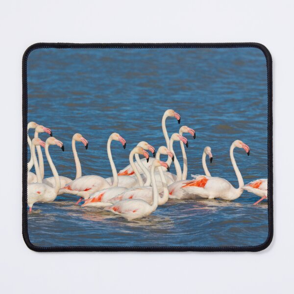 Item preview, Flamboyant Flamingos designed and sold by TwigaTravel.