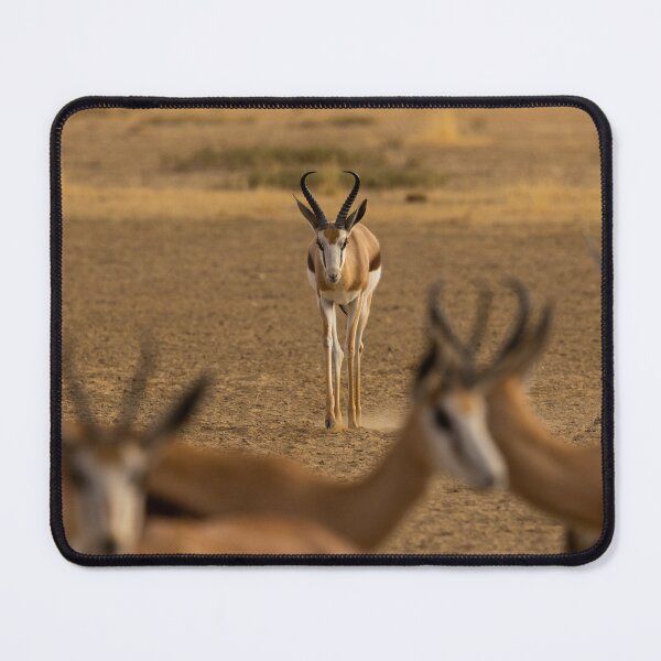 Item preview, Kicking up Dust designed and sold by TwigaTravel.