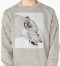 Lioness Pullover