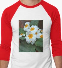 Precious Primrose Men's Baseball ¾ T-Shirt