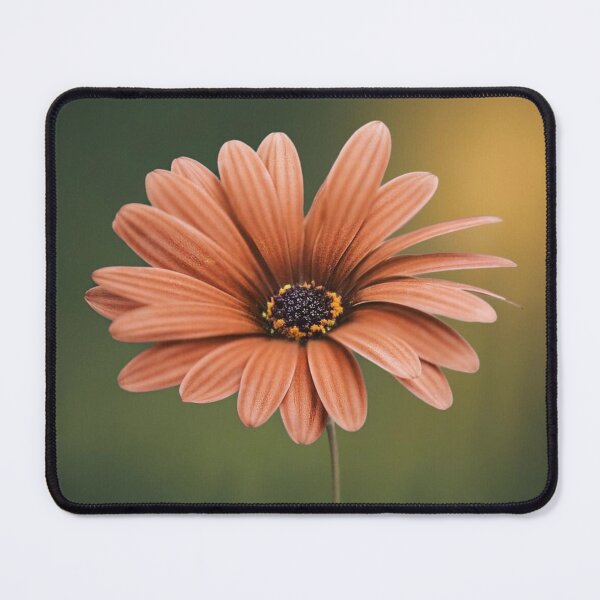 Item preview, Macro Flower photography designed and sold by Floralsrose.
