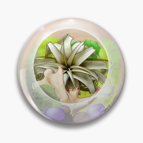 Item preview, Airplant Terrarium  designed and sold by SierraSnipes.