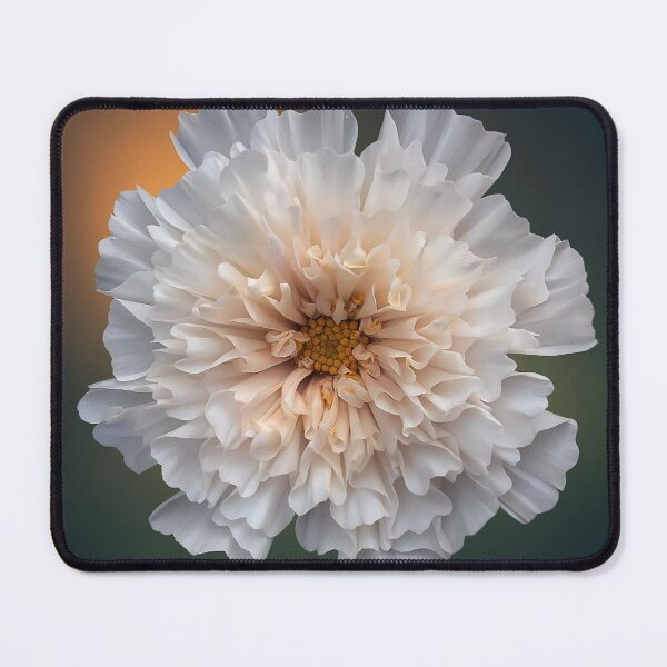 Item preview, Macro Flower photography designed and sold by Floralsrose.