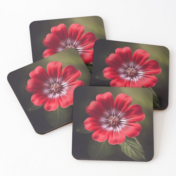 Item preview, Red Macro Flower photography designed and sold by Floralsrose.