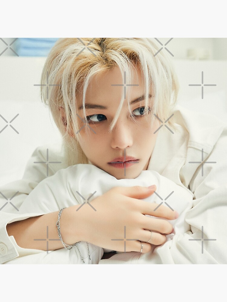 フィリックス 枕カバー ピリ スキズ 60✕40cm フィリックス 枕カバー