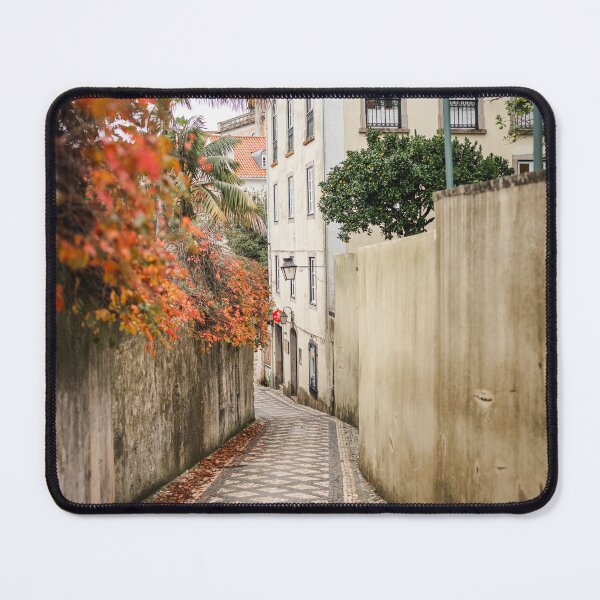 Item preview, Sintra Autumn Alley Nature Palette designed and sold by PhotosByVille.