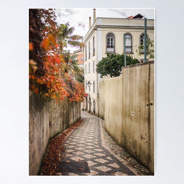 Item preview, Sintra Autumn Alley Nature Palette designed and sold by PhotosByVille.