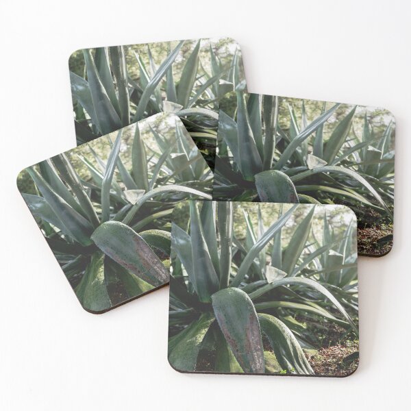 Item preview, Monserrate Palace Gardens Aloe Majesty designed and sold by PhotosByVille.