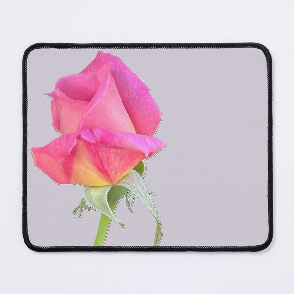 Item preview, Pink and Yellow Rose in Bloom designed and sold by OdomArt.