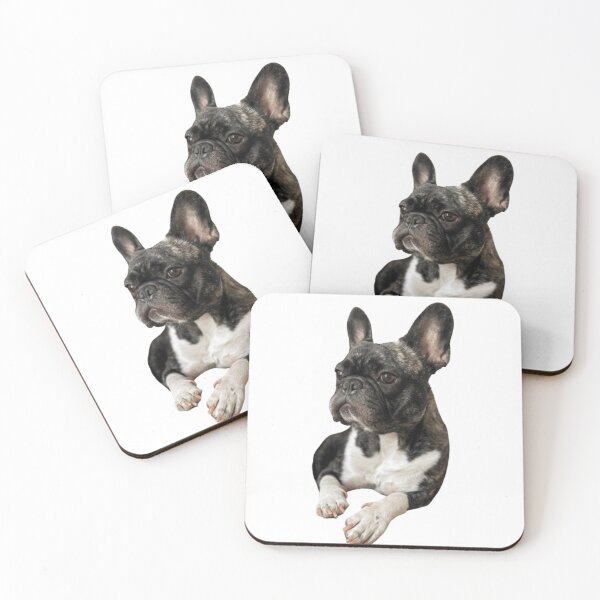 Item preview, french bulldog looking afar ---4eights designed and sold by 4eights.