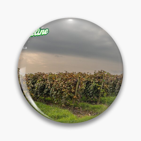 Item preview, Vineyard on Lake Erie Shoreline designed and sold by GestaltImagery.