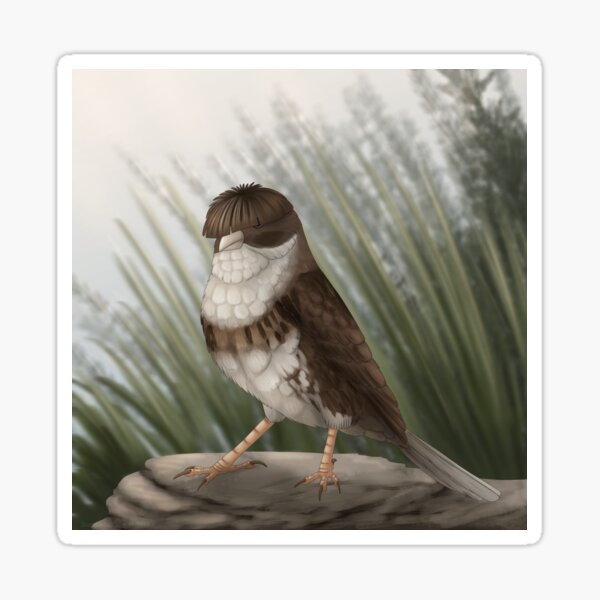 Item preview, Bowlcut bird designed and sold by DragonArtist15.