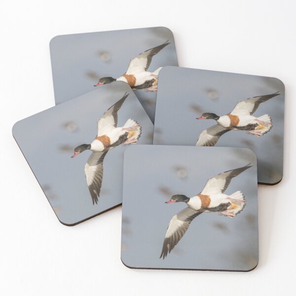 Item preview, Common Shelduck designed and sold by LaurenTucker.