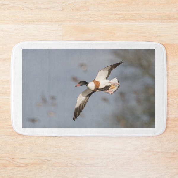 Item preview, Common Shelduck designed and sold by LaurenTucker.