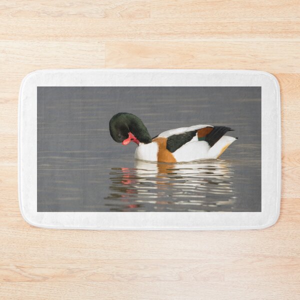 Item preview, Common Shelduck designed and sold by LaurenTucker.