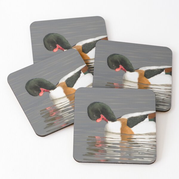 Item preview, Common Shelduck designed and sold by LaurenTucker.