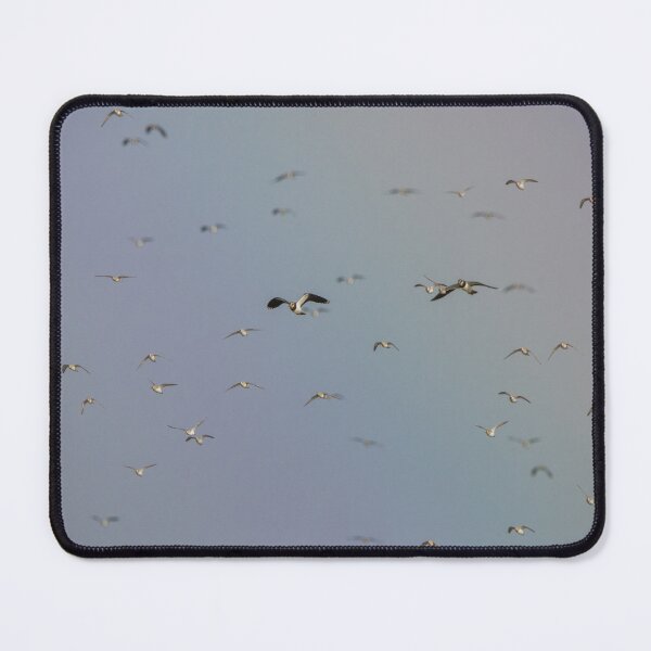 Item preview, Lapwing Flock designed and sold by LaurenTucker.