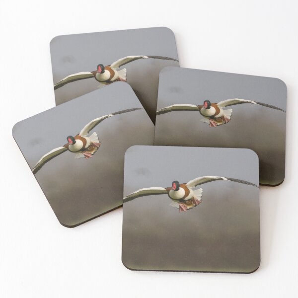 Item preview, Common Shelduck designed and sold by LaurenTucker.