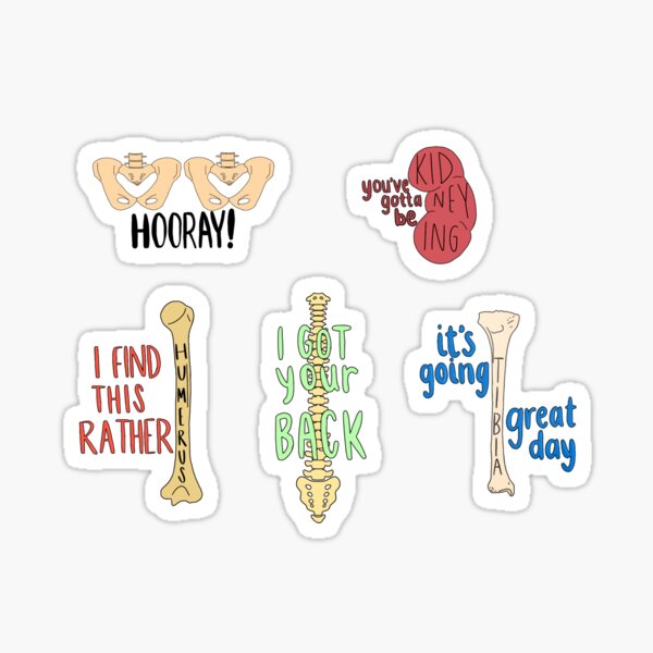 Artikel-Vorschau von Anatomie-Wortspiel-Paket, designt und verkauft von emmakdesigns.