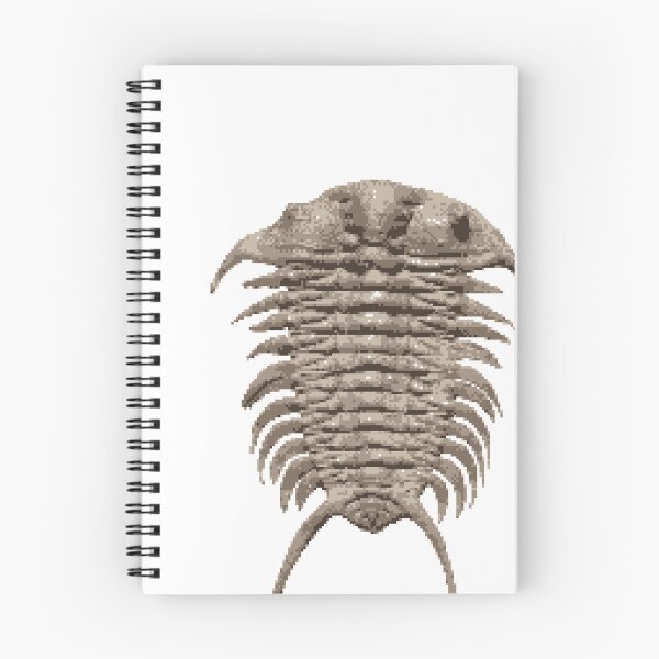 Item preview, Fossil trilobite pixel art designed and sold by PaleoInvert.
