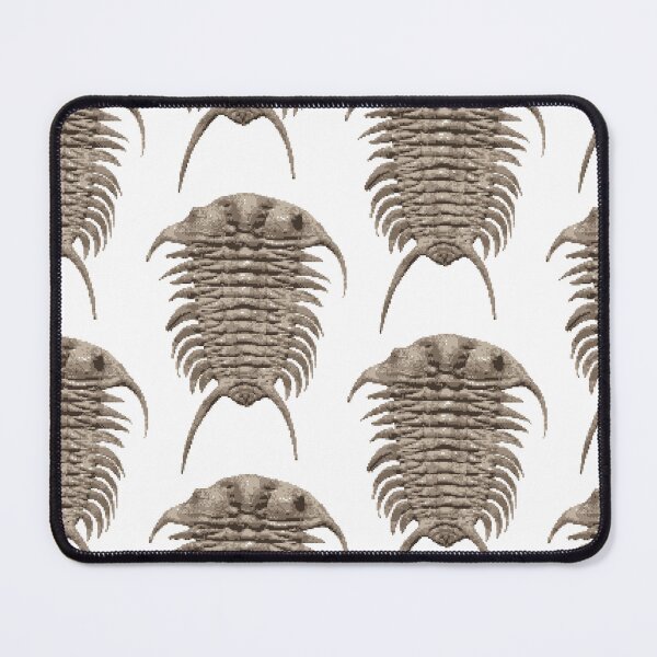Item preview, Fossil trilobite pixel art designed and sold by PaleoInvert.
