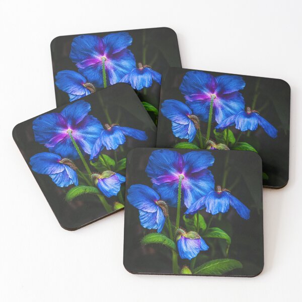 Item preview, Himalayan blue poppies designed and sold by Floraphernalia.
