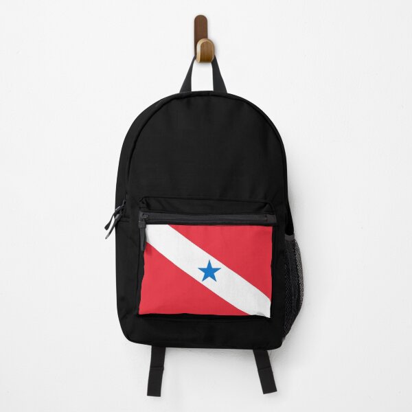Item preview, Flag of Para state (Federative Republic of Brazil, Pará) designed and sold by Danler.