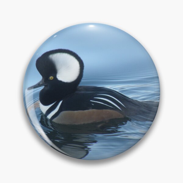 Item preview, Male Hooded Merganser Duck Reflection designed and sold by naturegallery.