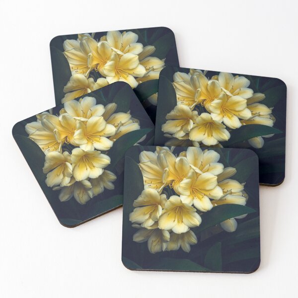 Item preview, Clivia designed and sold by Floraphernalia.