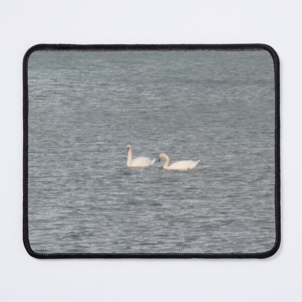 Item preview, Swans in Lake Huron in Port Austin designed and sold by dakotalilyh.