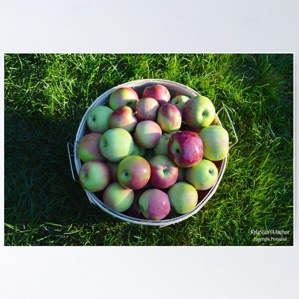 Item preview, Apple Harvest 3 designed and sold by Nature's Reflections.