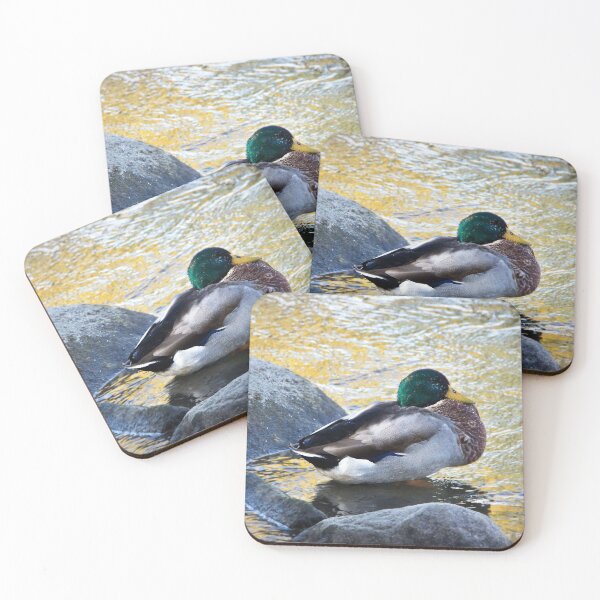 Item preview, Male Mallard designed and sold by WhitSpace.