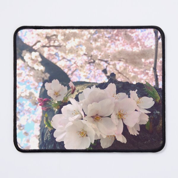 Item preview, Washington DC Cherry Blossoms 2 designed and sold by Jamz n'  Jelliez.