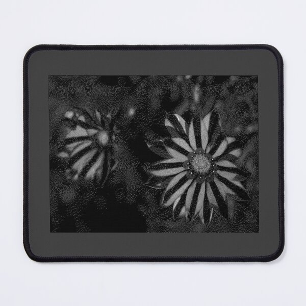Item preview, Black and white dahlia flowers, tinted effect designed and sold by evadesignbubble.