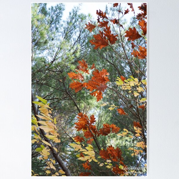 Item preview, Autumn Leaves designed and sold by Nature's Reflections.