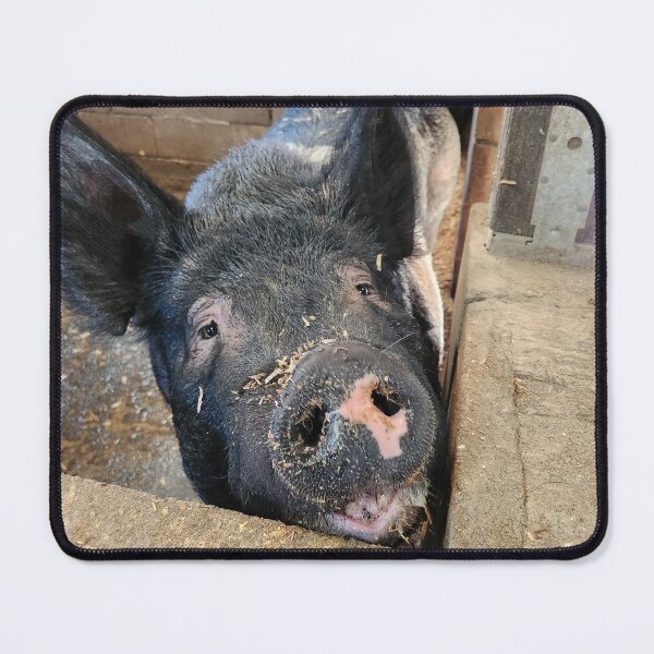 Item preview, Happy pig designed and sold by Ram-studios.