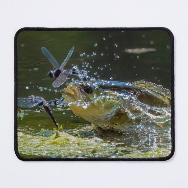 Item preview, Large mouth Bass and 2 dragonflies! designed and sold by Raymond J Barlow.