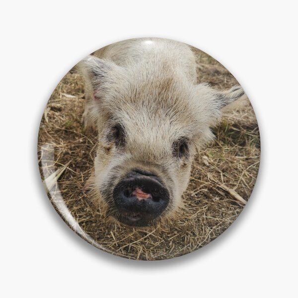 Item preview, Little fall piggy designed and sold by Ram-studios.